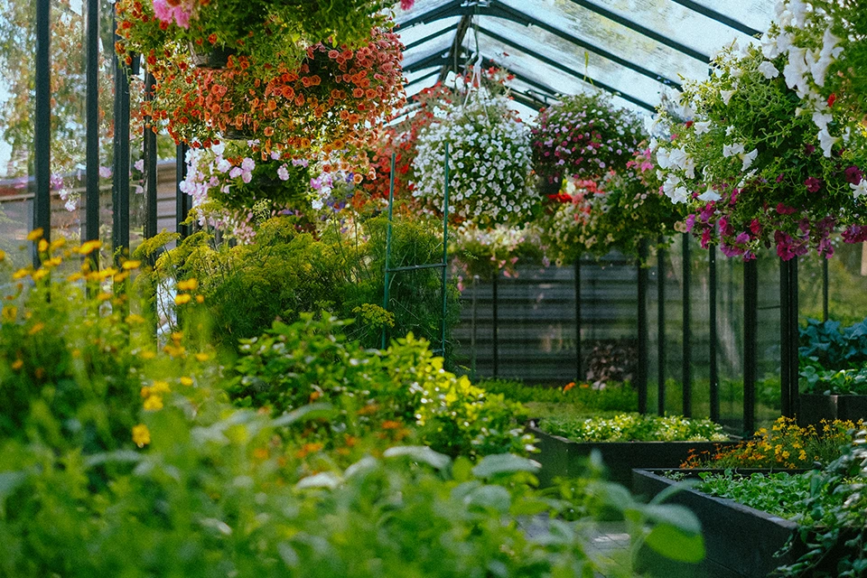 Fine dining restaurant in Riga