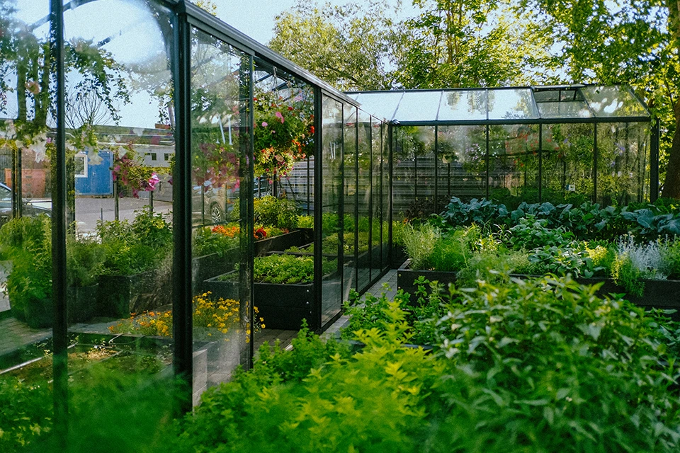 Fine dining restaurant in Riga